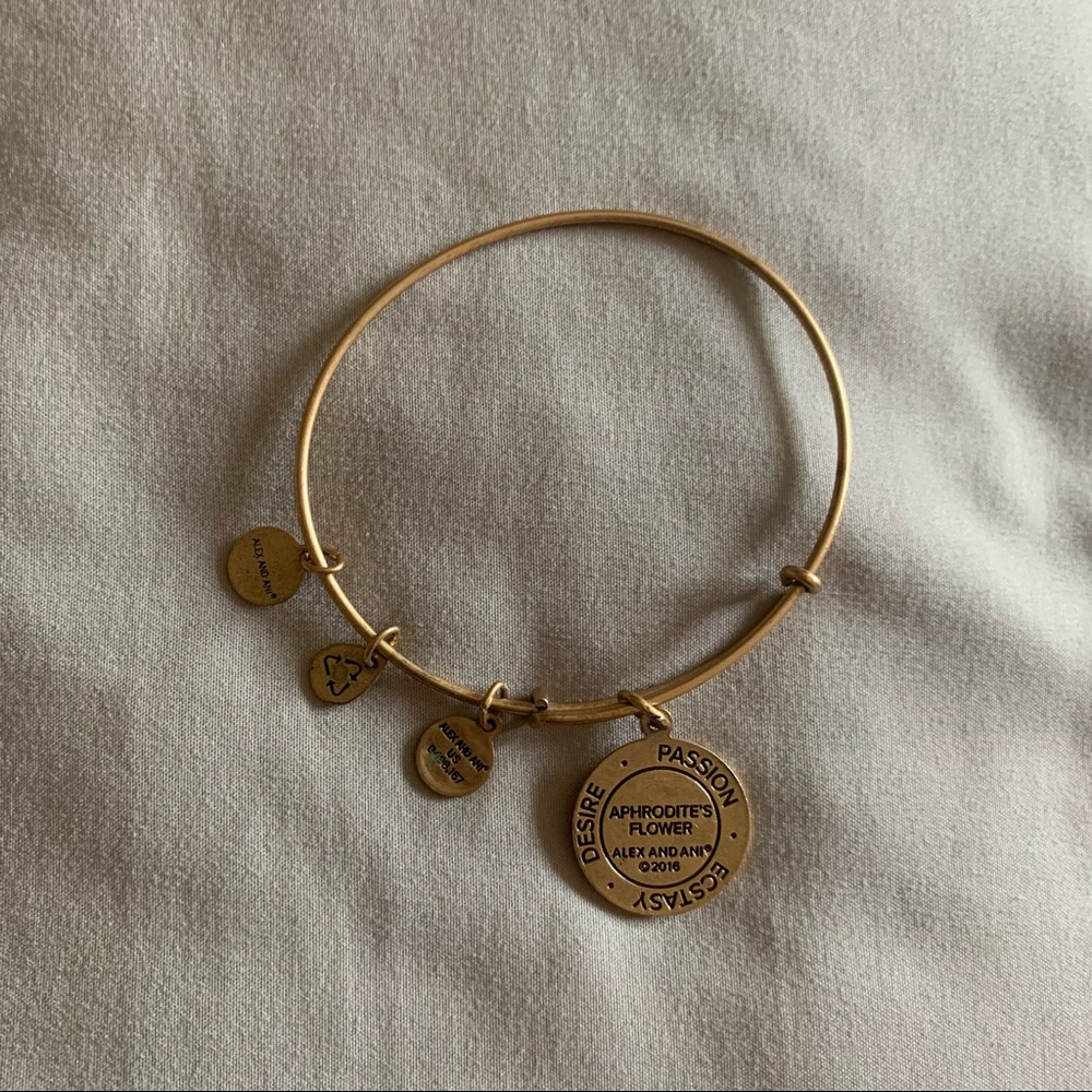 Alex & Ani bangle - Picture 3 of 5